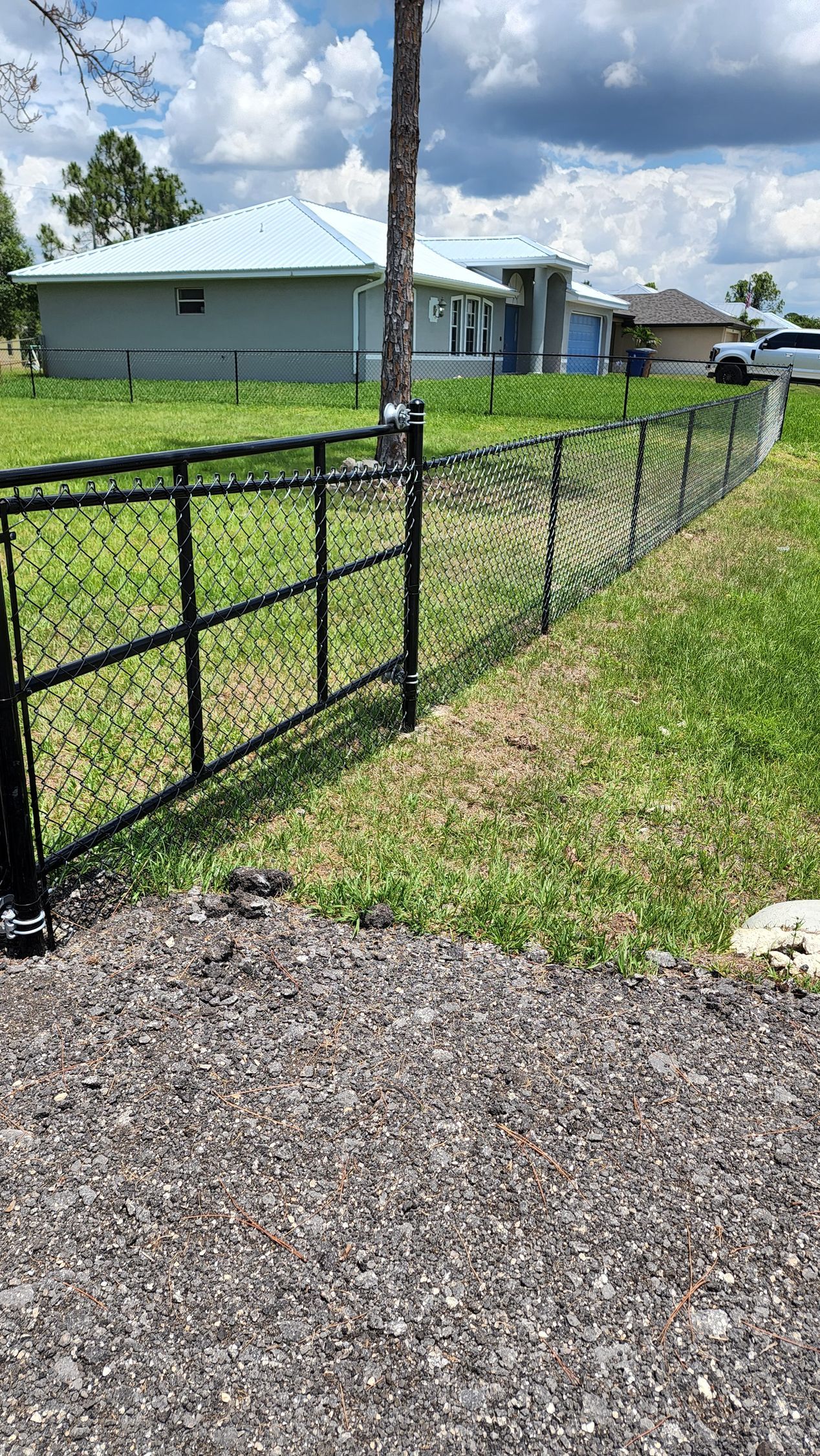 Black chain link fence bordering grassy area, houses in background.