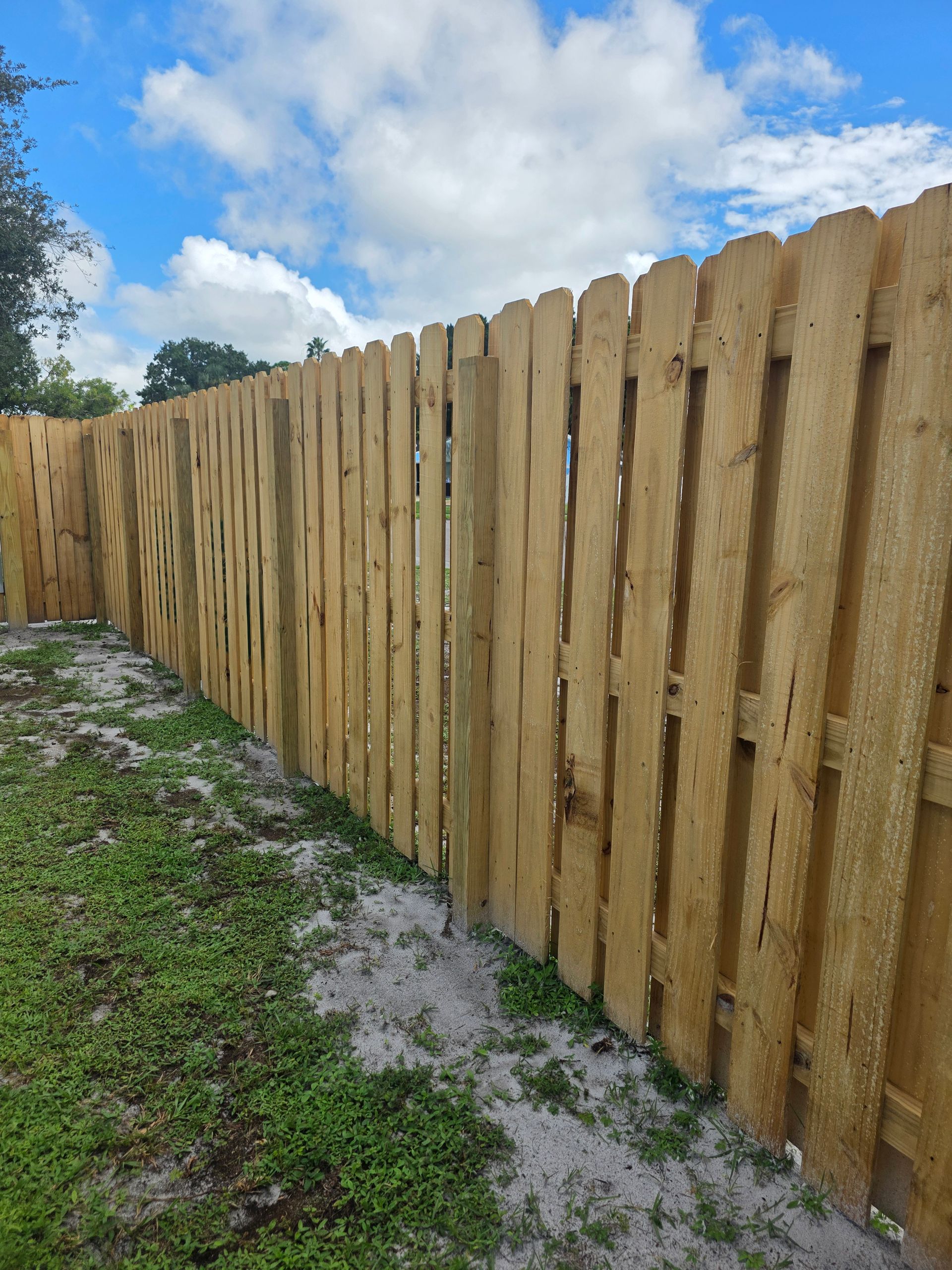 Wooden fence in a yard with grass and blue sky.