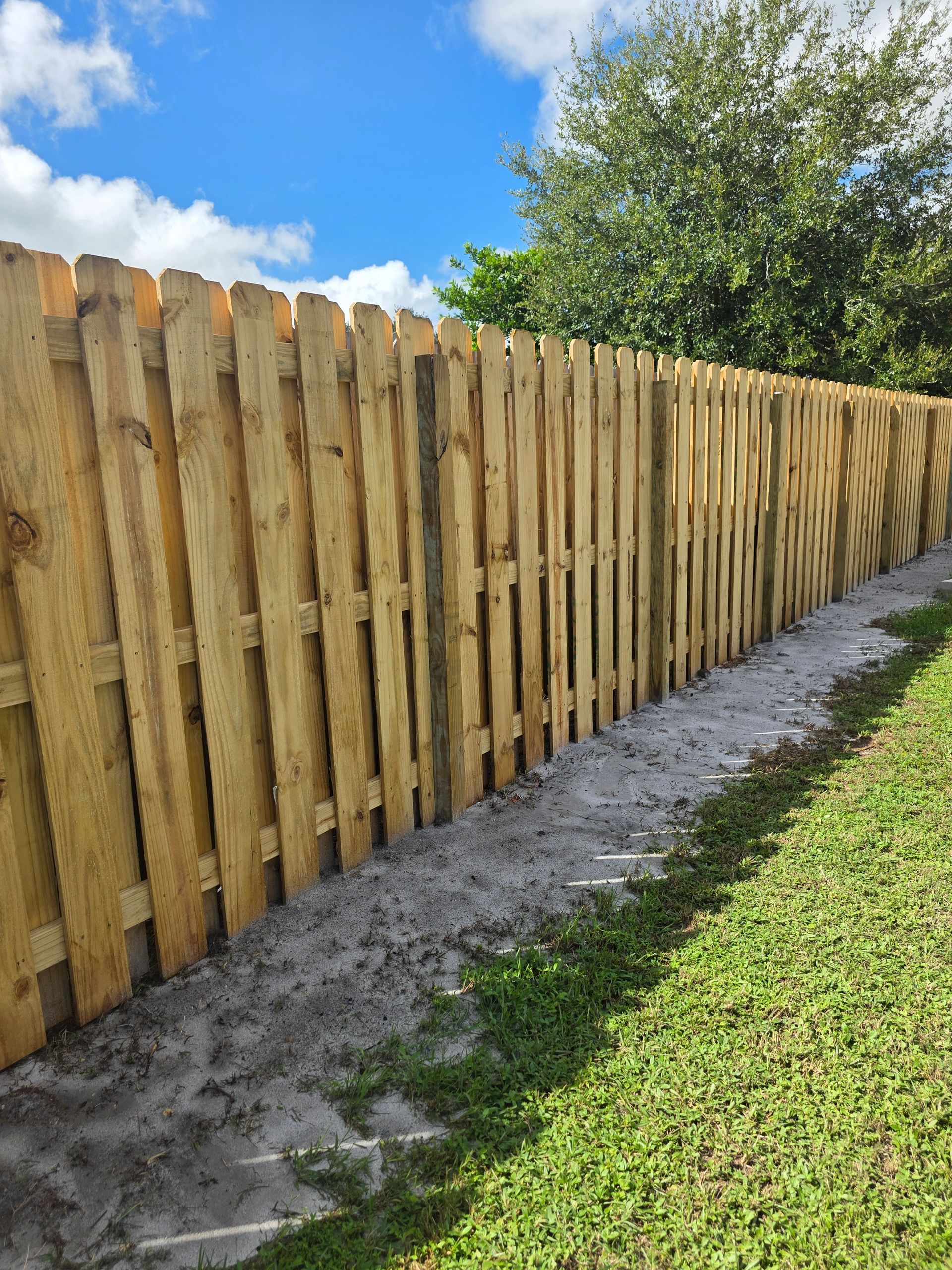 Wooden fence in a yard with grass and blue sky.