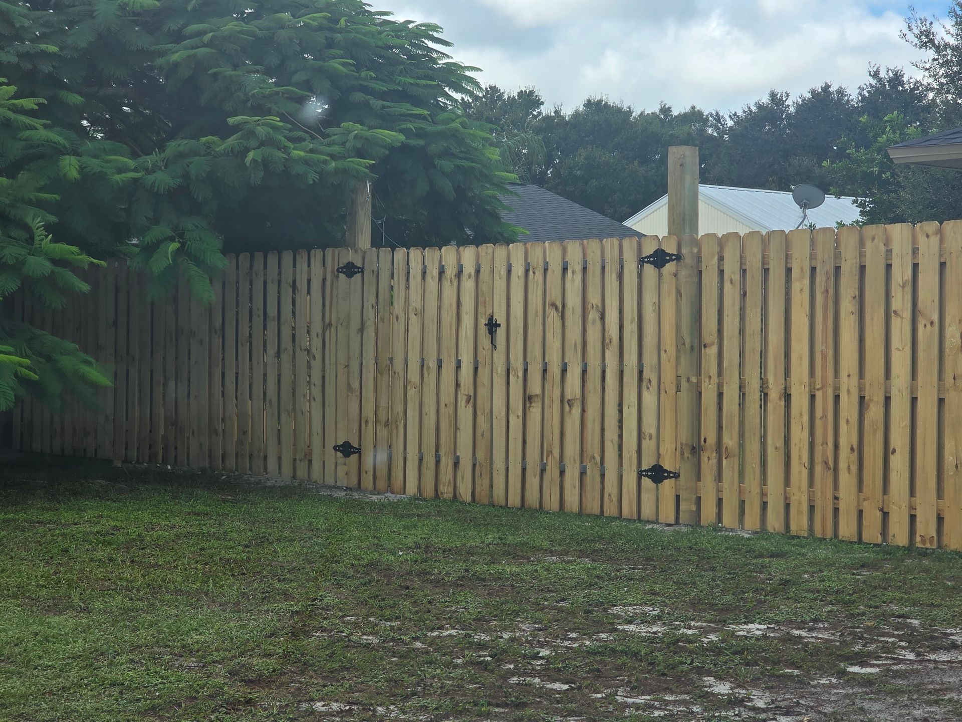 Wooden privacy fence in a grassy yard, with visible hinges and gate. Trees in background, overcast sky.