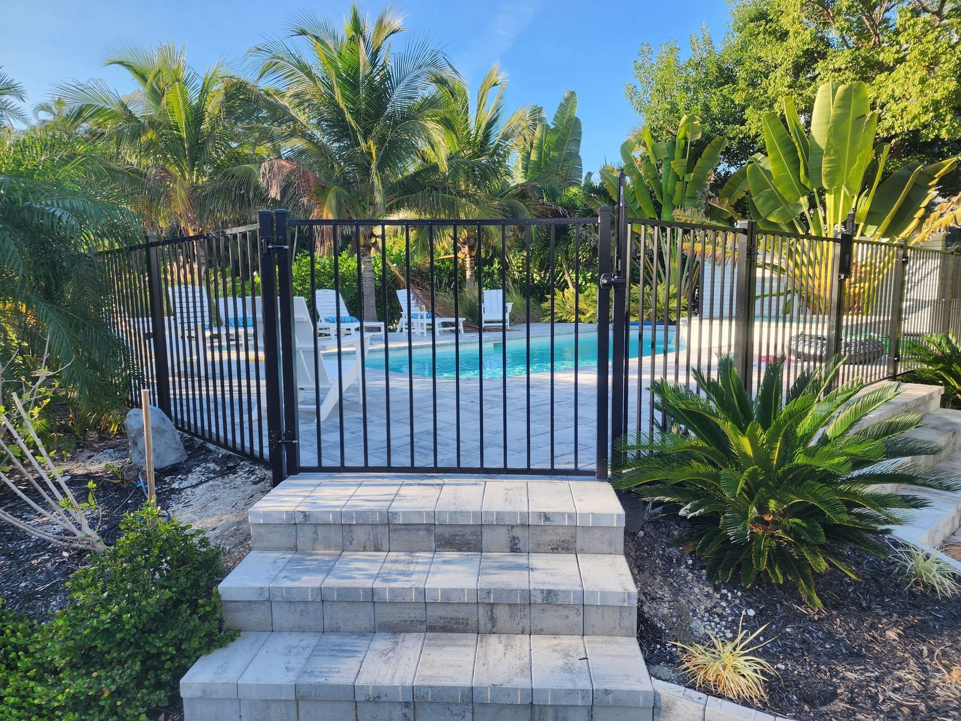 Black metal fence with gate, leading to a pool area with palm trees.