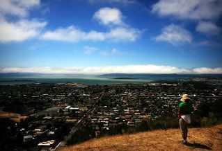 Picture