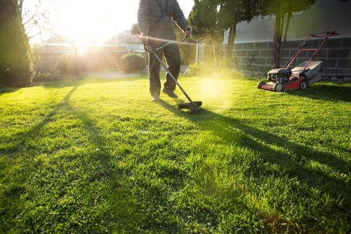 Person mowing a sunlit green lawn, with grass clippings spraying beside a red lawn mower.
