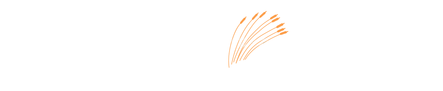 logo-image