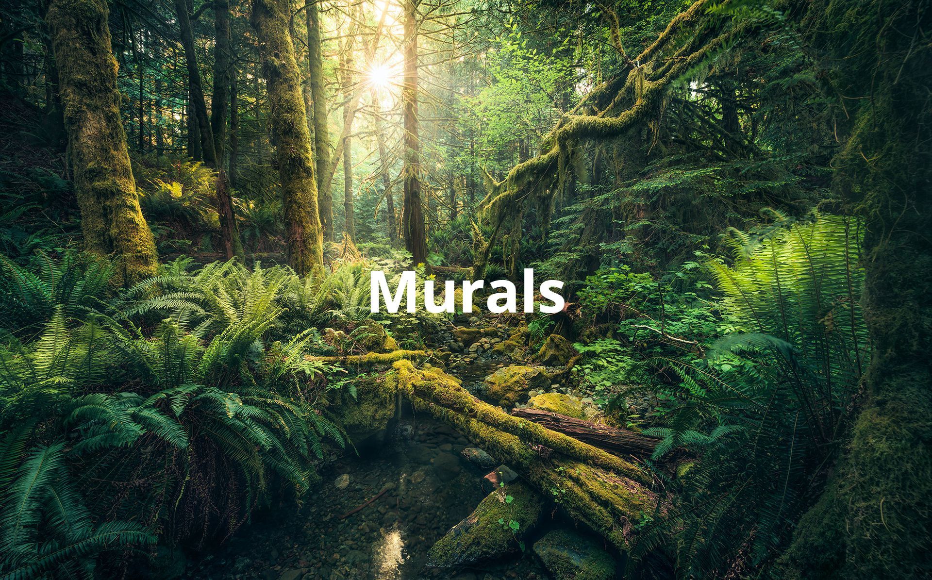 Murals for walls