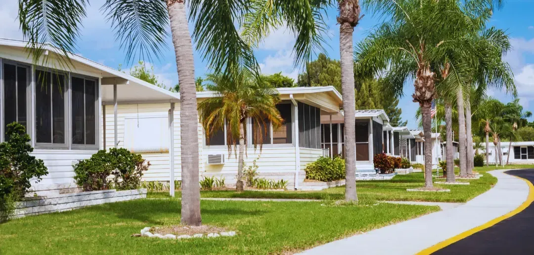 A row of mobile homes in a residential area with palm trees and a sidewalk.