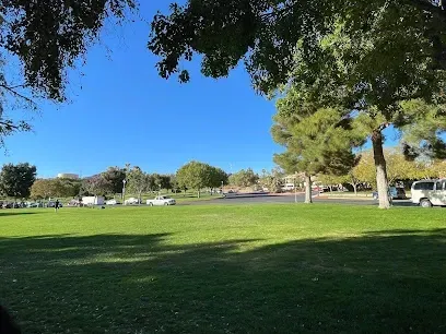 A park with a lot of grass and trees on a sunny day
