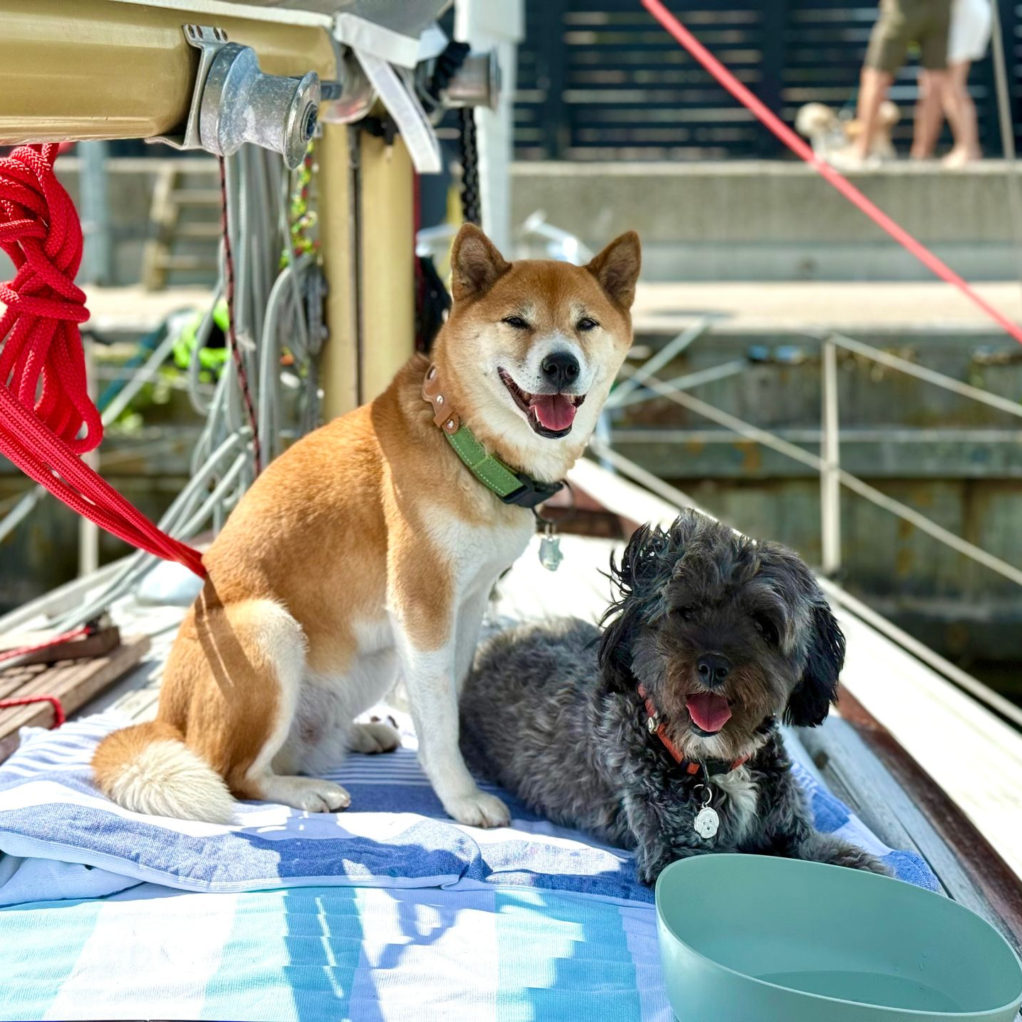 Rafi and Lola
