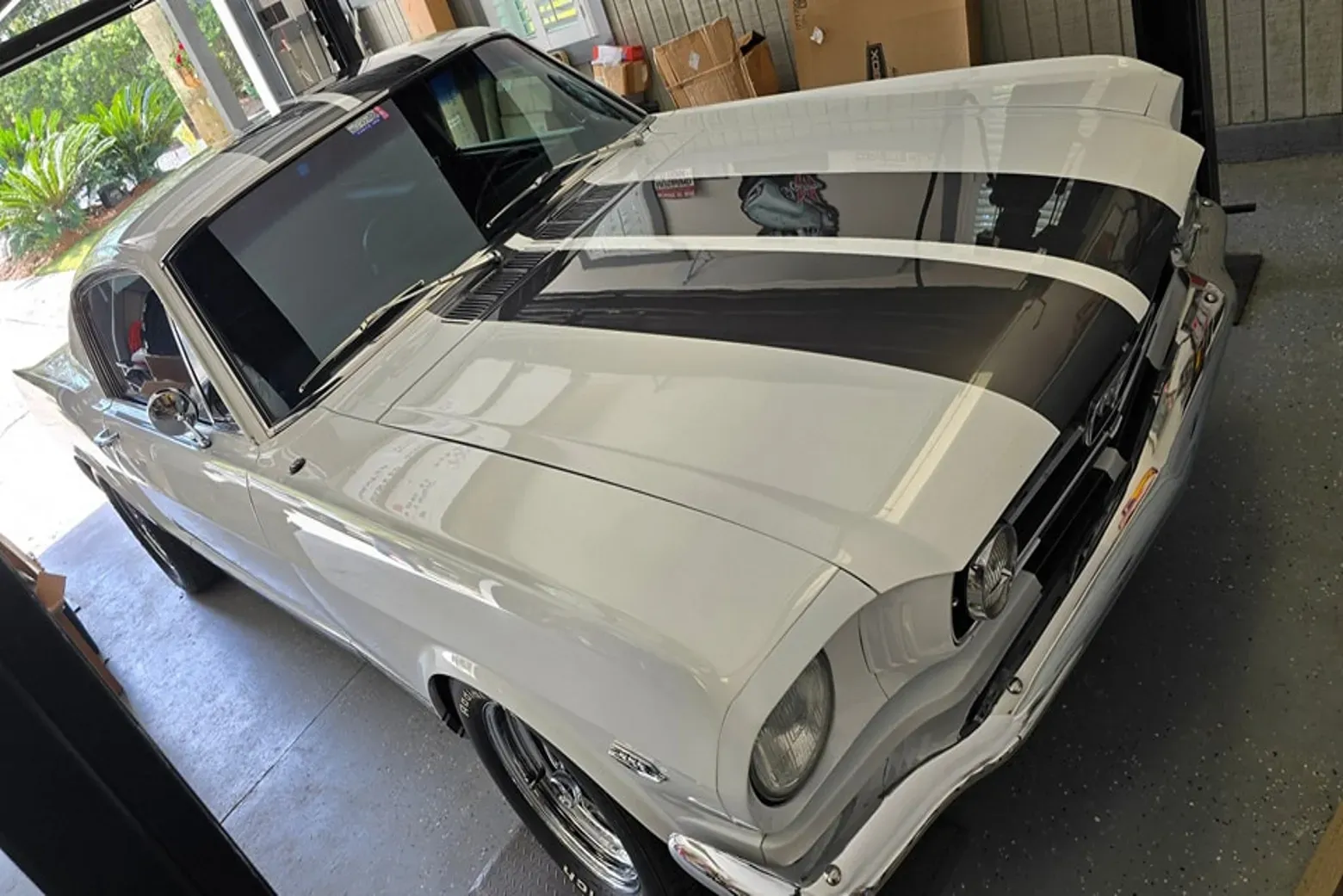 Car Paint Protection