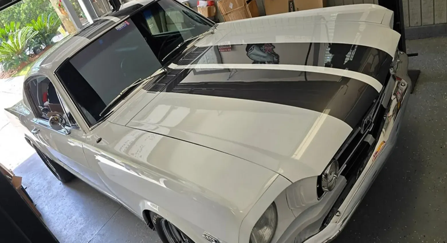 Car Paint Protection