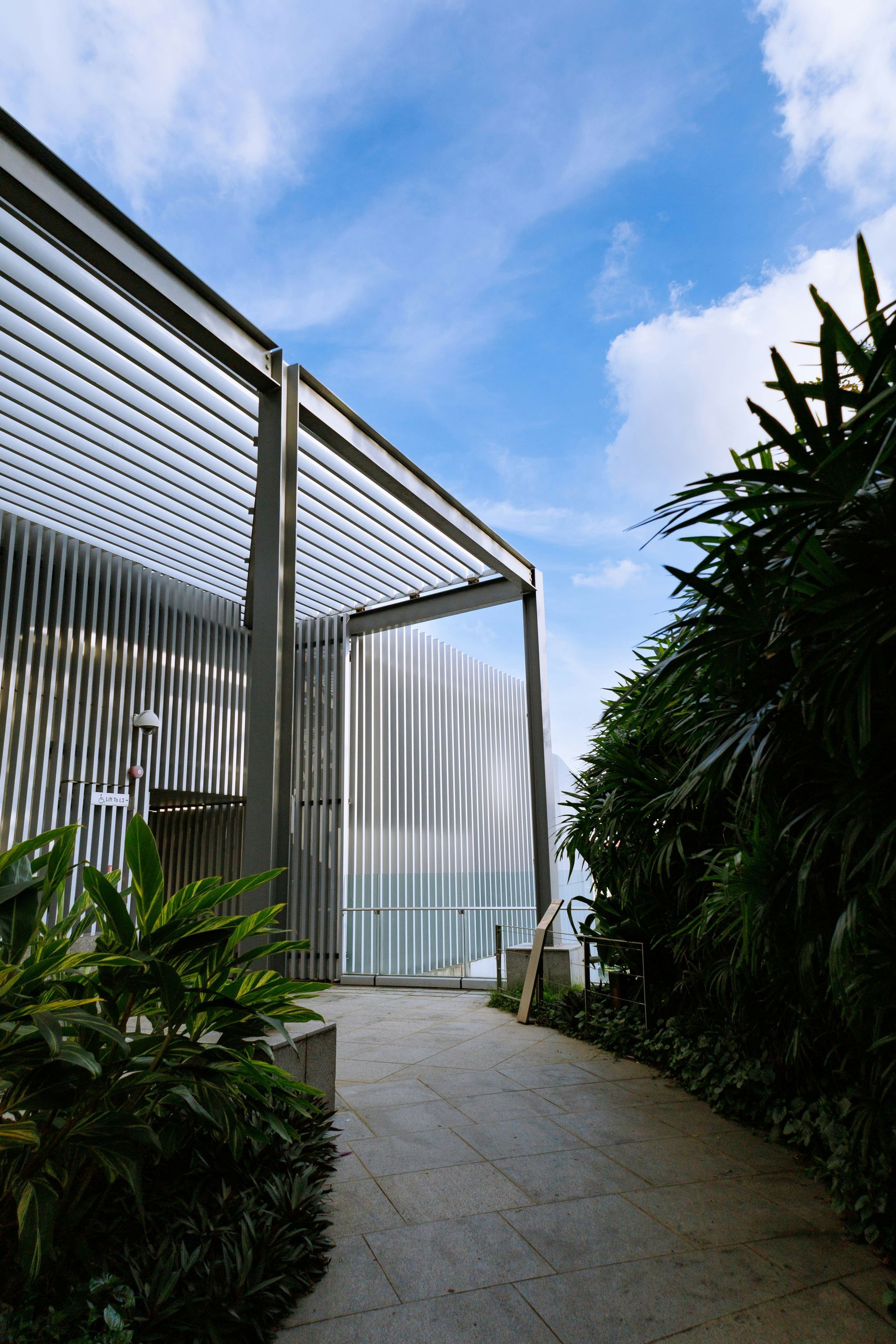 Modern patio walkway beside a slatted pergola, with lush tropical plants and blue sky overhead