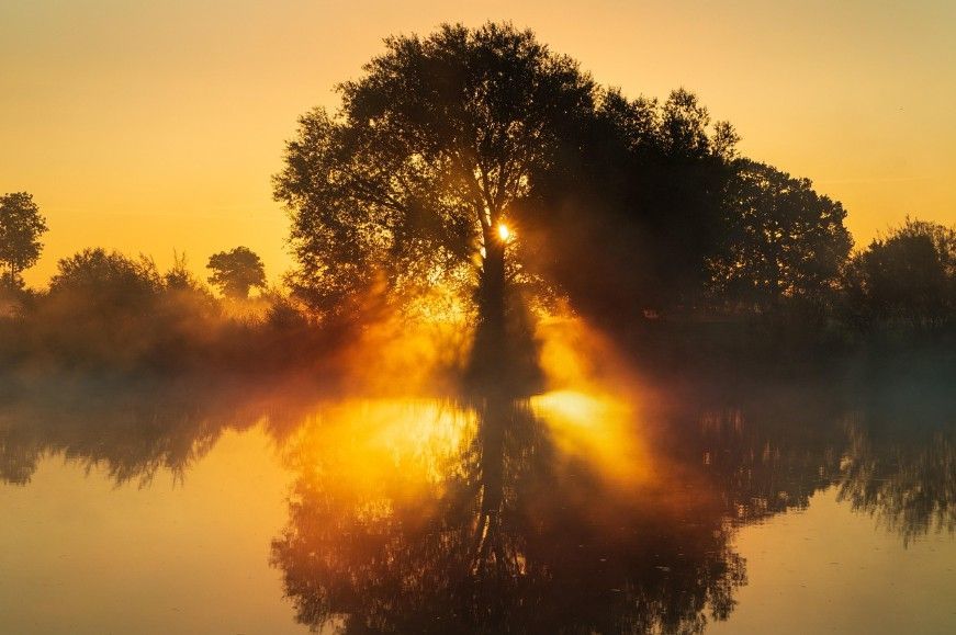 Golden sunlight streams through a lone tree and reflects across still water, creating a serene, hopeful scene with cremation services in Burnsville, MN