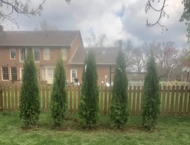 Before Raised Bed Installation — Lancaster, KY — Prather Landscaping