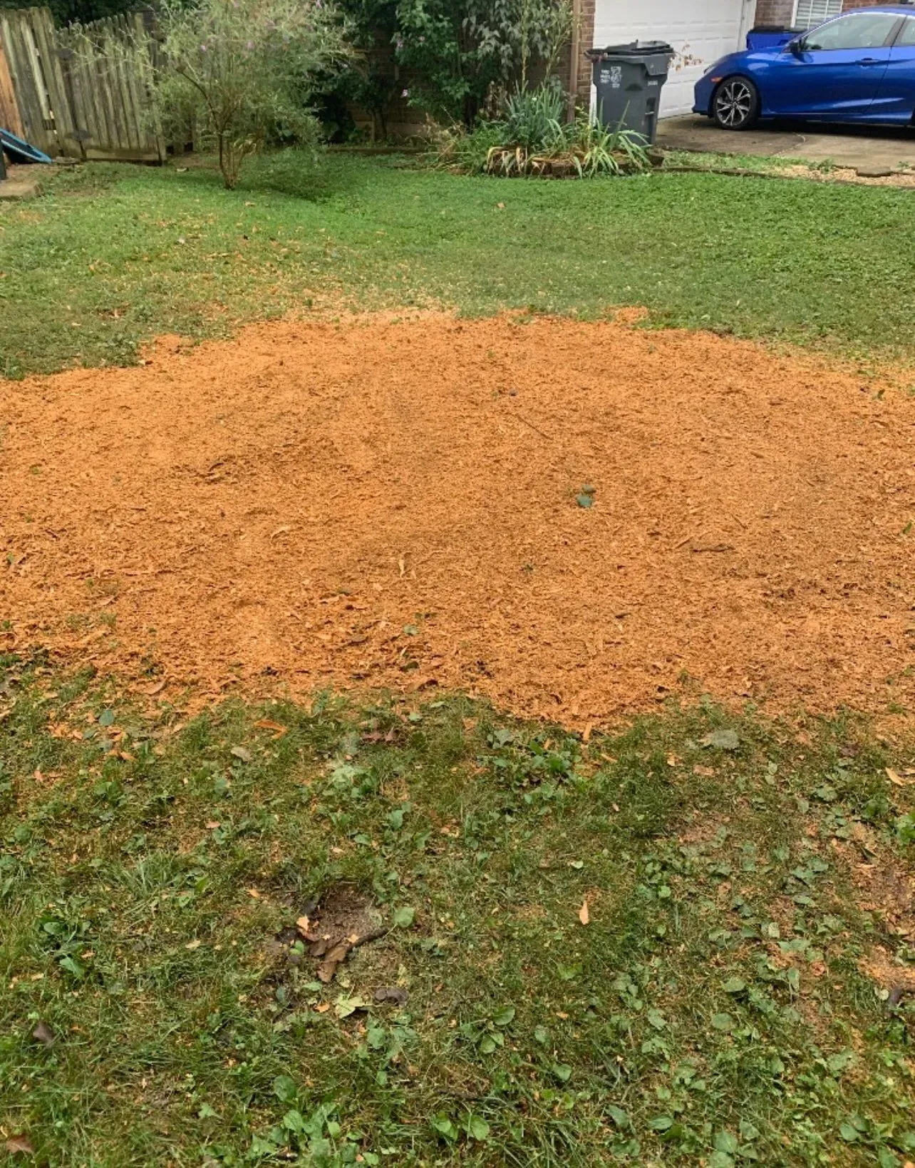 A Healthy Soil With Grasses — Lancaster, KY — Prather Landscaping
