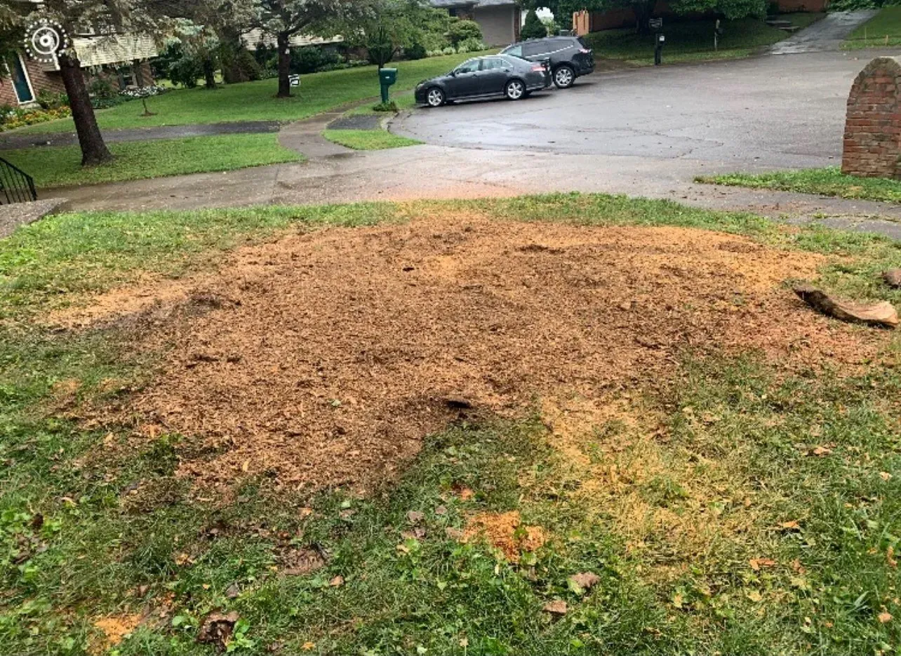 A Tree Stump Marks — Lancaster, KY — Prather Landscaping
