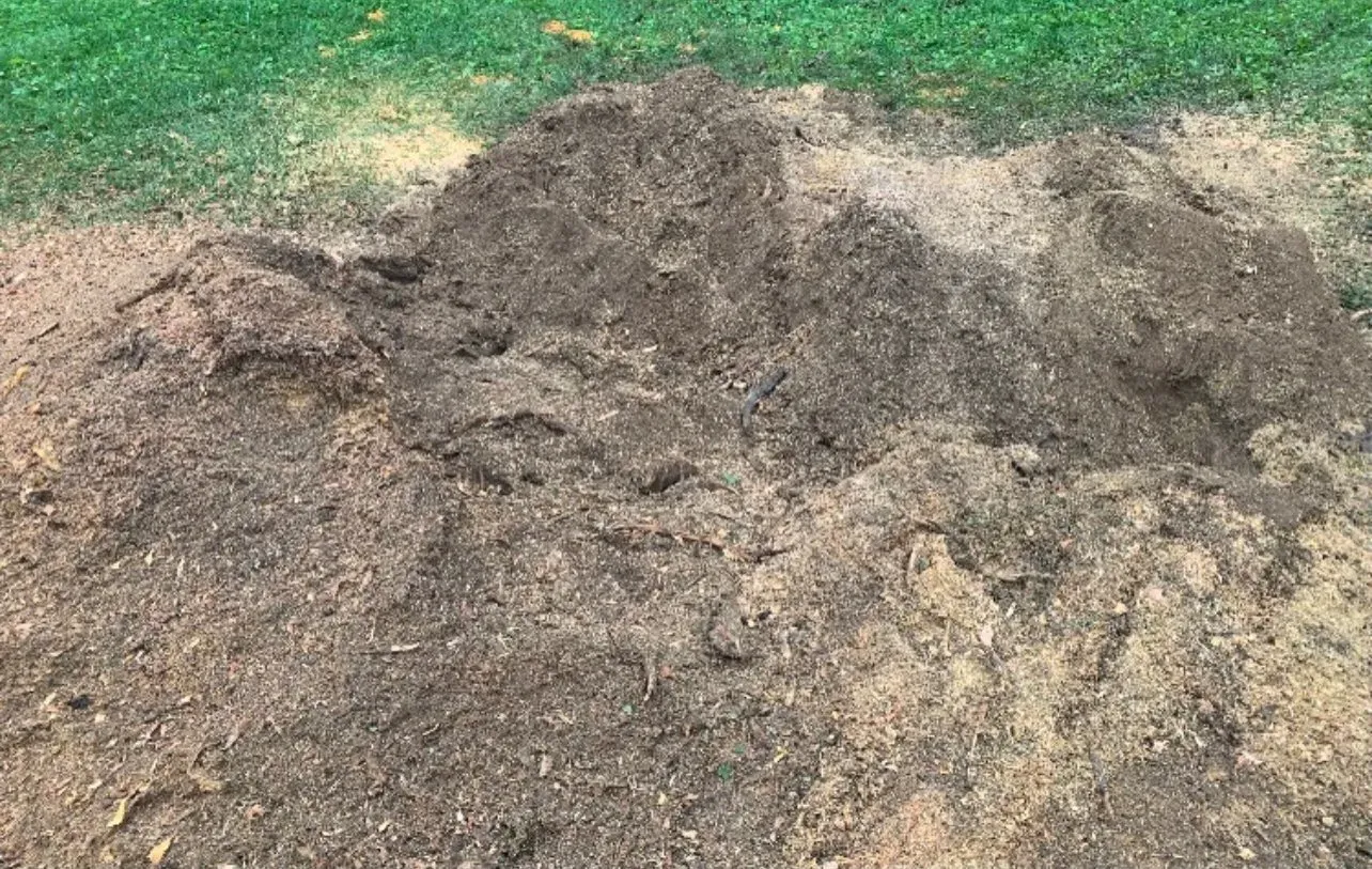 A Soil With Grasses — Lancaster, KY — Prather Landscaping