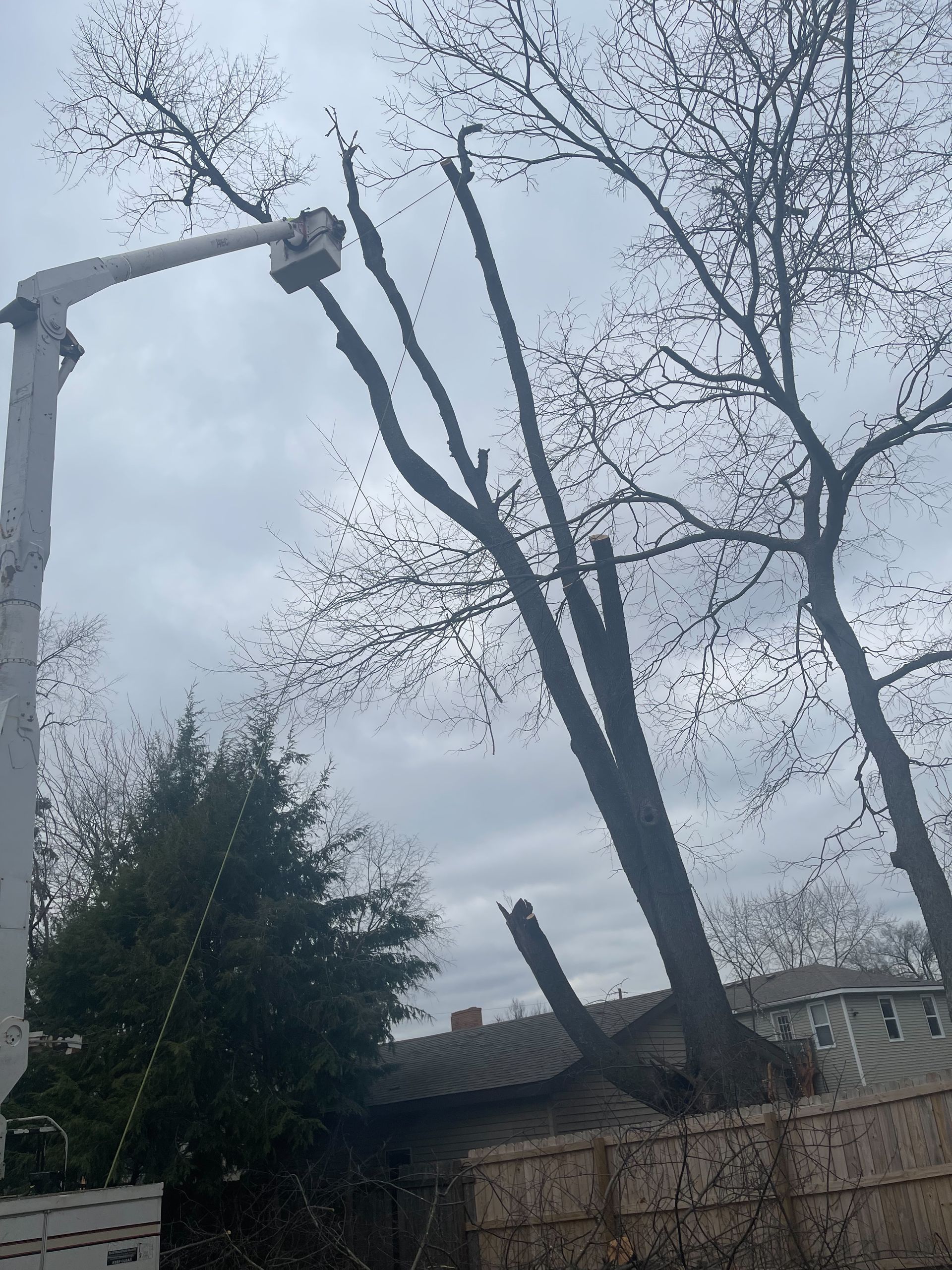 On Going Clean Up — Lancaster, KY — Prather Landscaping