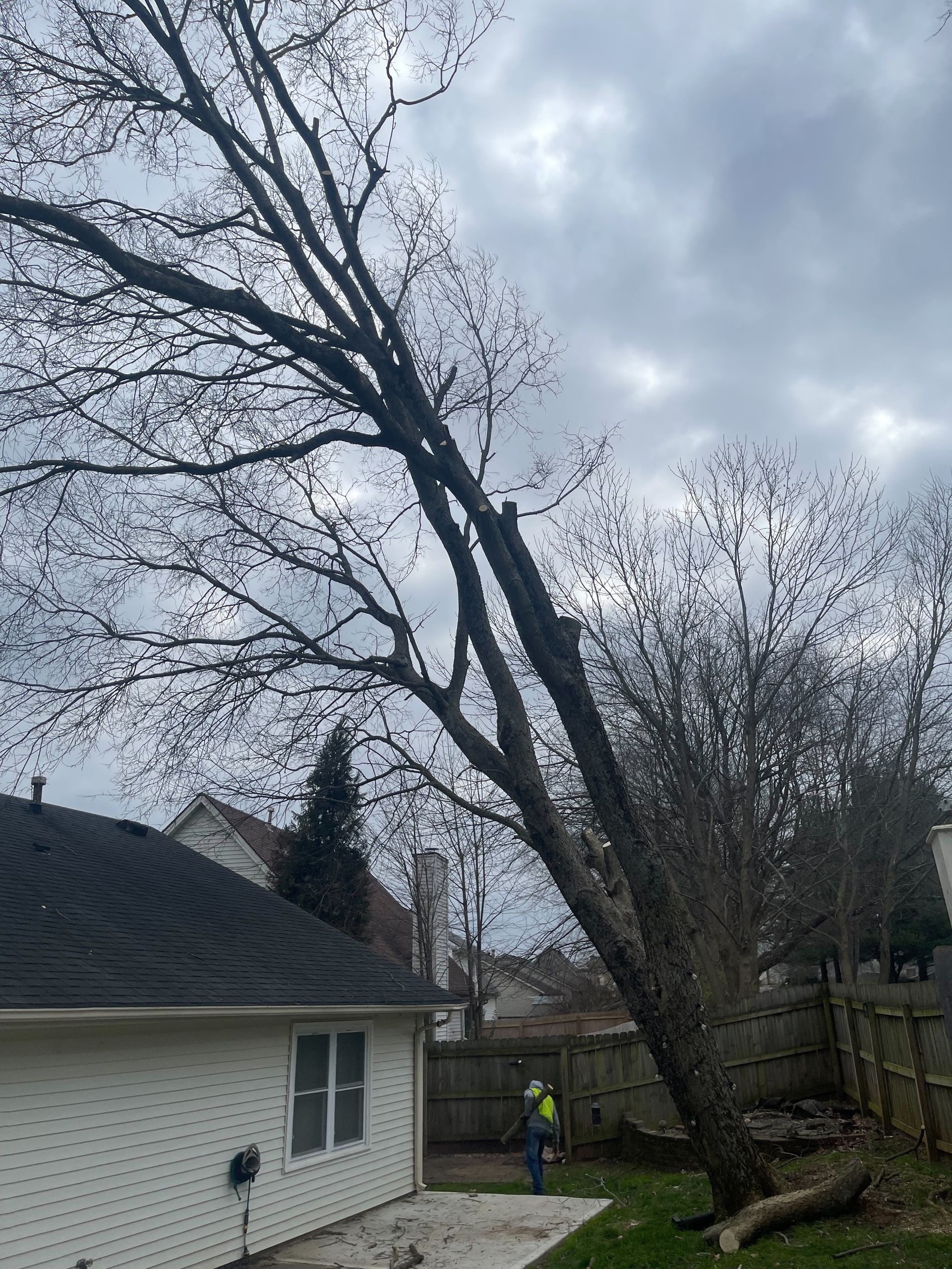 Cleaning Up — Lancaster, KY — Prather Landscaping