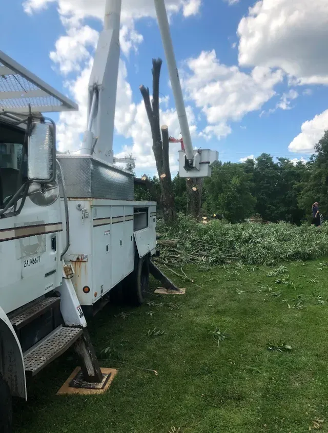 After Tree Removal — Lancaster, KY — Prather Landscaping