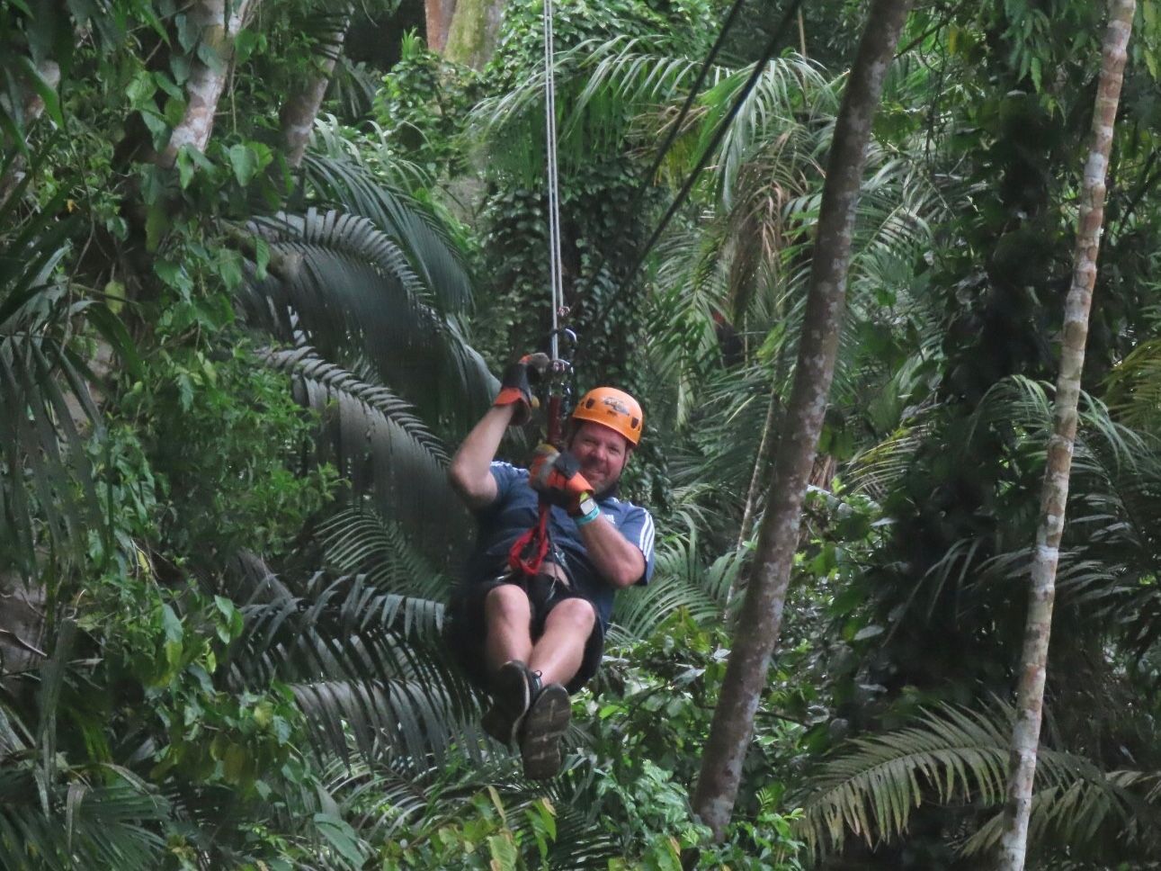 Person ziplining through lush green rainforest, smiling, wearing a helmet and harness.