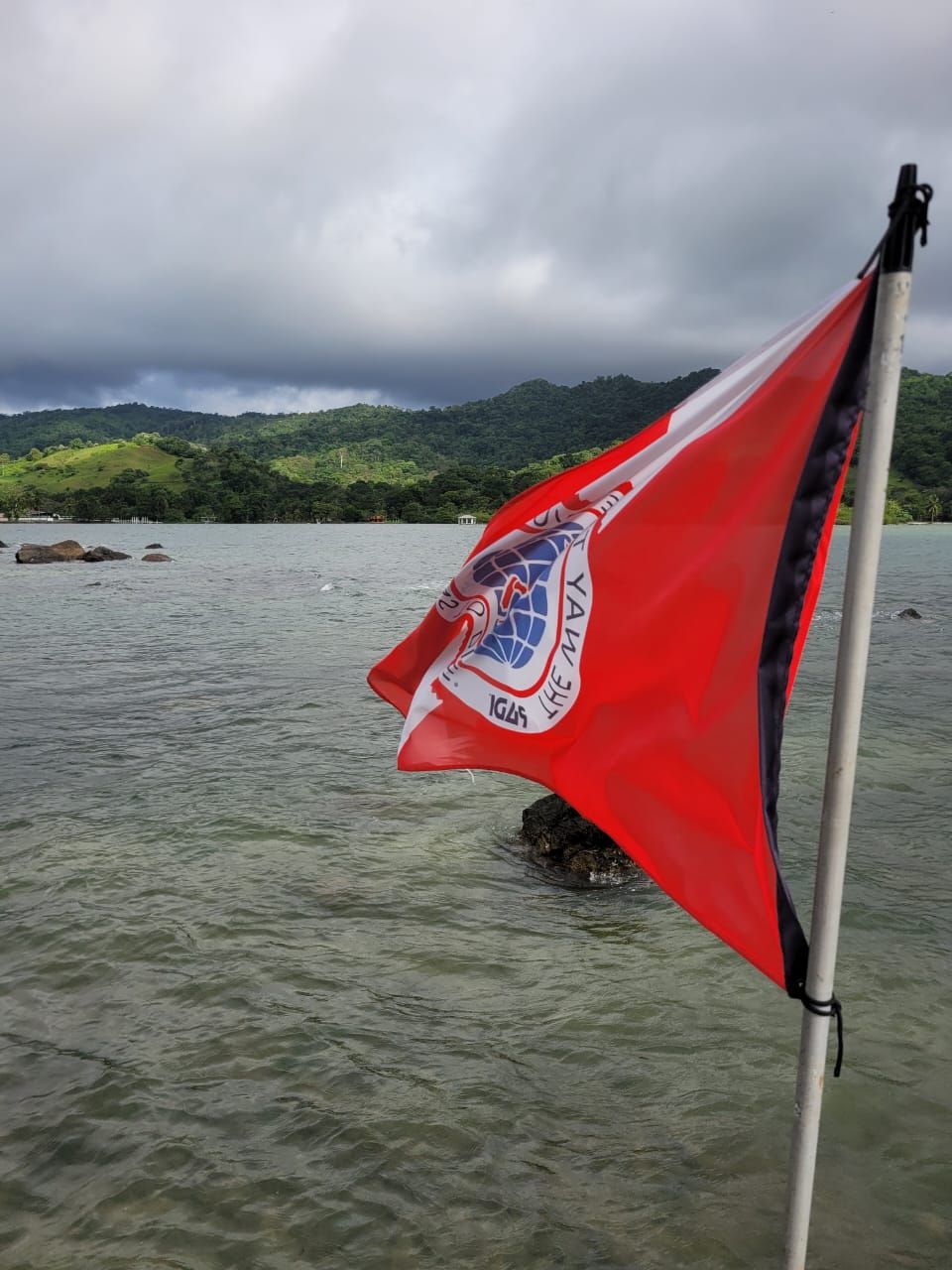 Red and white dive flag with a logo on a pole, overlooking a body of water with hills in the background.