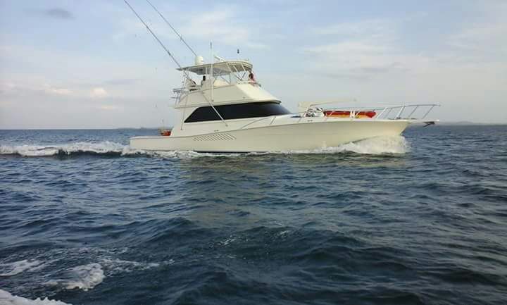 White fishing boat speeding across blue ocean water.