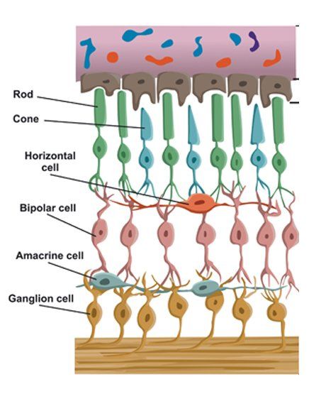 Acupuncture Retinitis Pigmentosa Treatment by Marc Bystock NYC Acupuncturist in Midtown Manhattan NY 10016