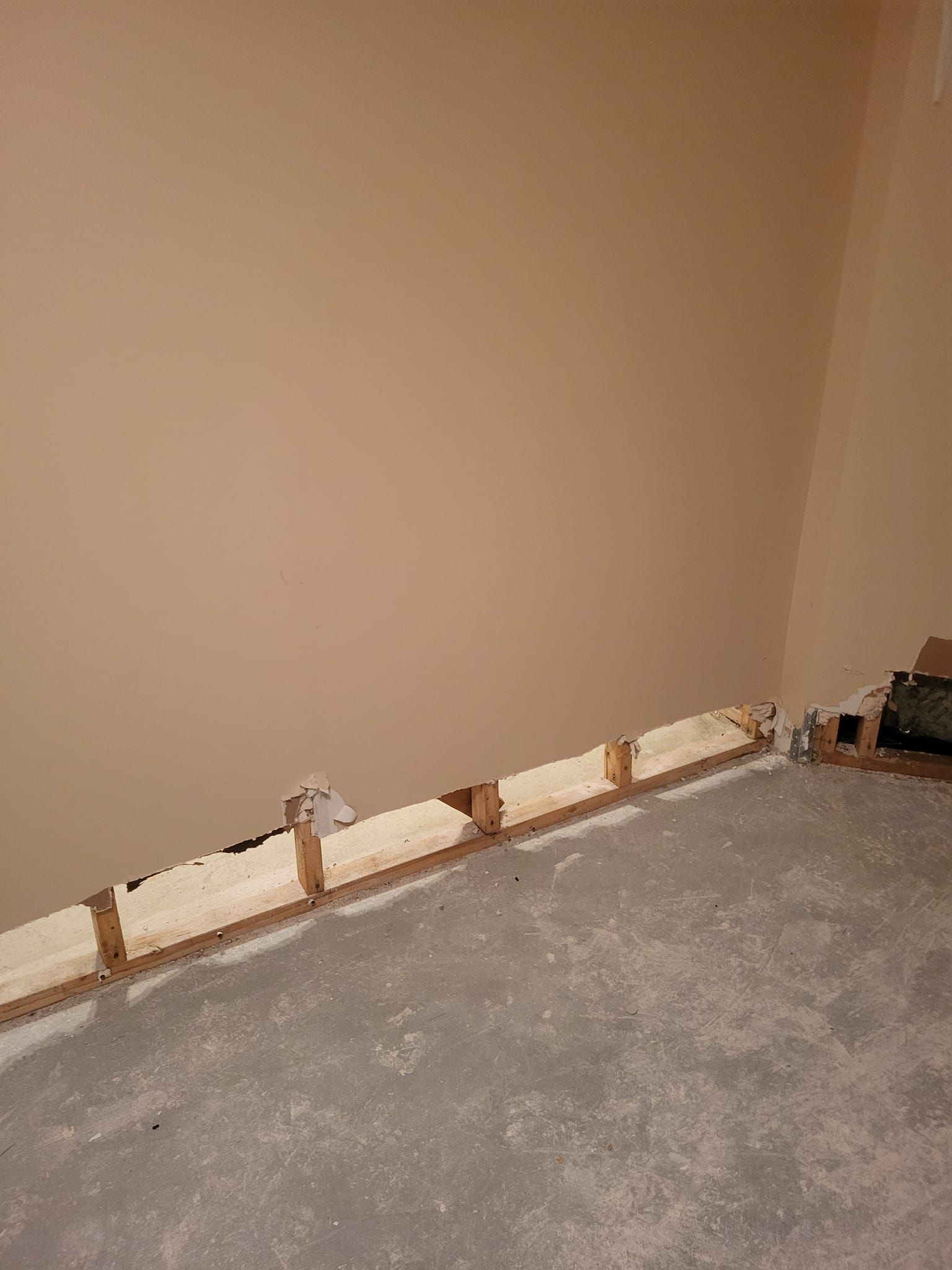 Une pièce avec un sol en moquette et un mur en bois.