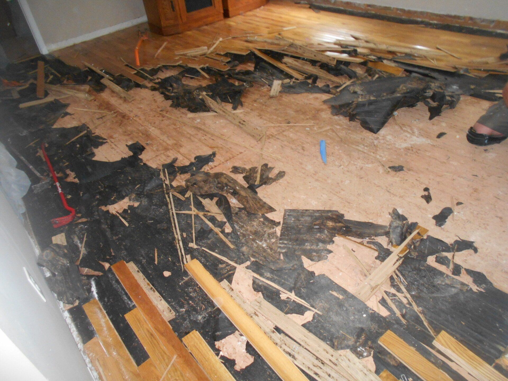 Damaged hardwood floor with black substance, debris, and exposed wood in a room.