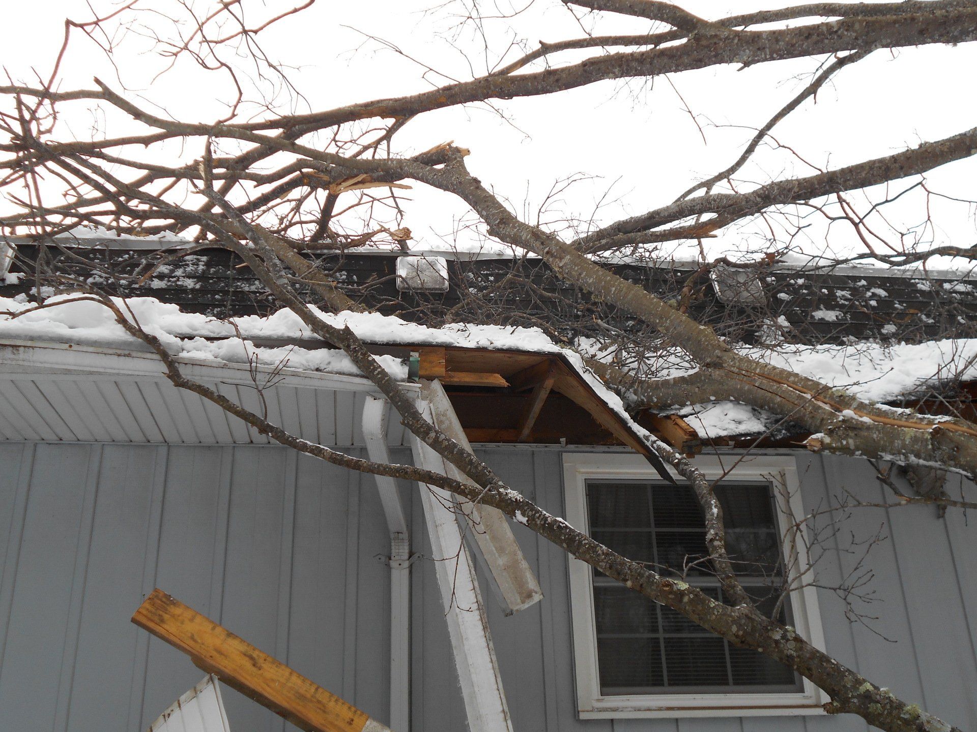 Tree branches over a damaged house roof with snow, some wood broken, and a small window.