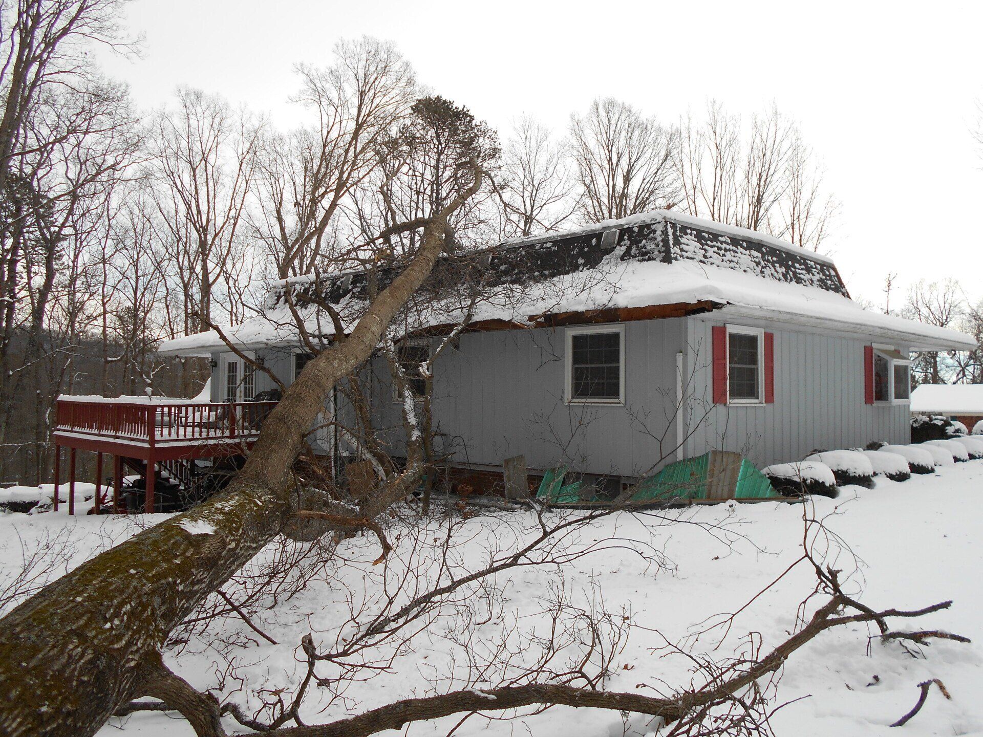 A tree fallen on a gray house with red shutters and a deck, covered in snow.