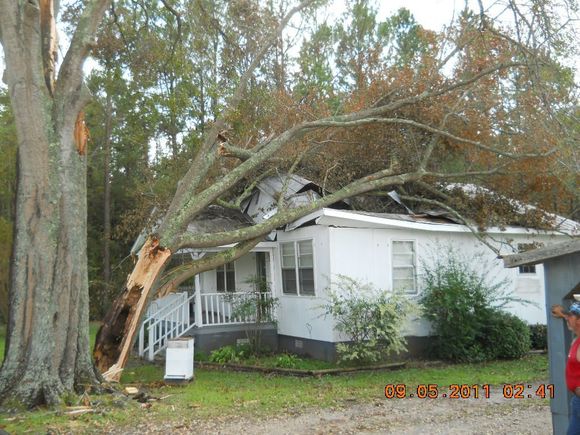 A tree has fallen on a white house, damaging the roof. A person in a red shirt is visible on the right.