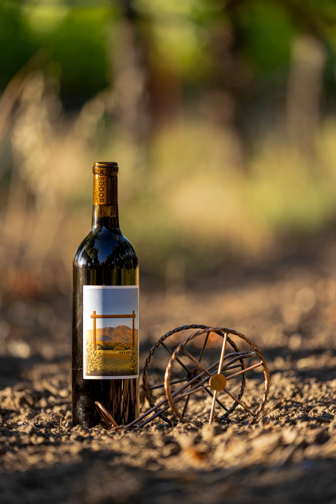 Wine bottle standing on dry ground outdoors beside a rusty wire sphere, with blurred greenery in the background