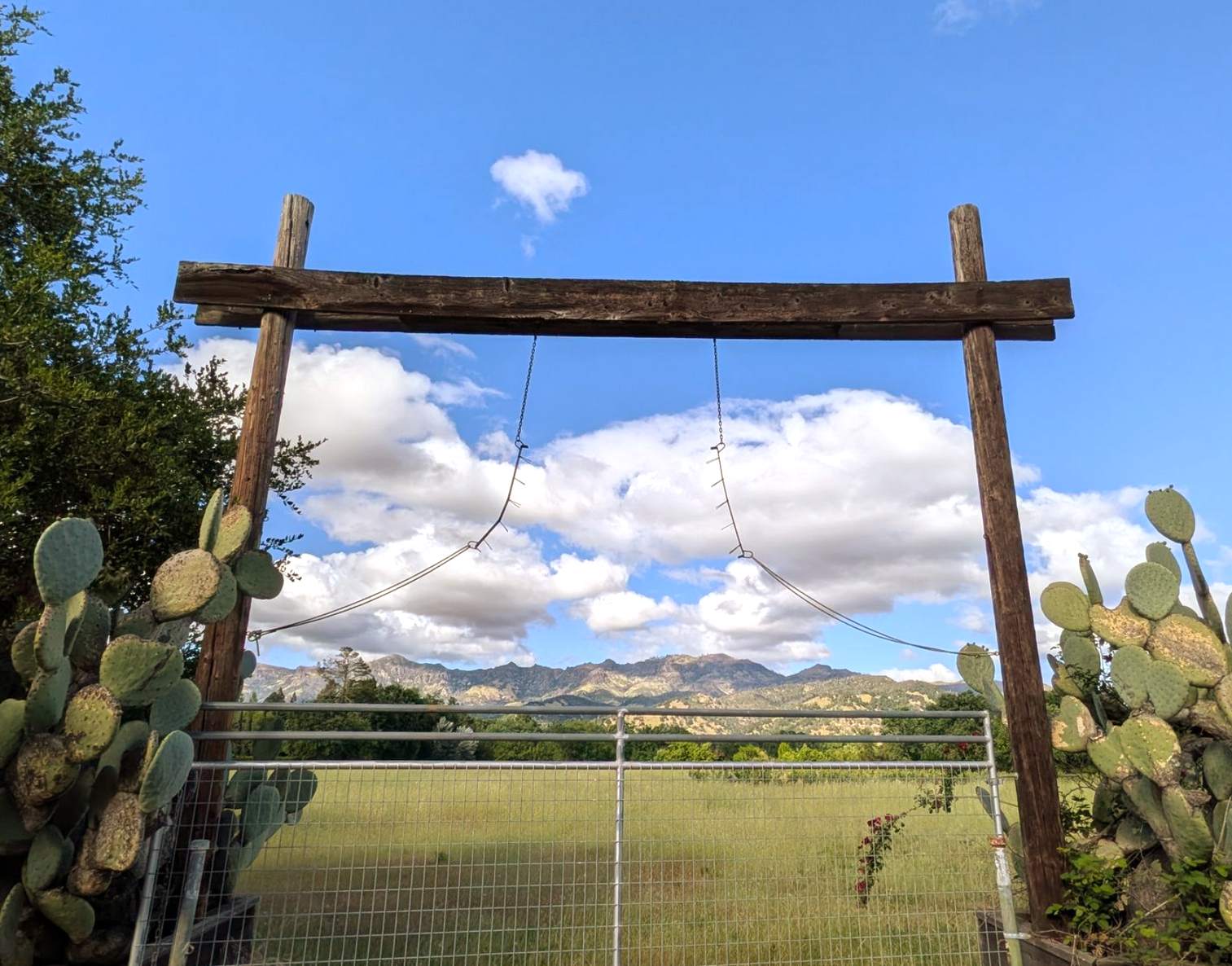 Wooden gate with wire fence in a grassy field, framed by cactus, under a blue sky with clouds and distant hills