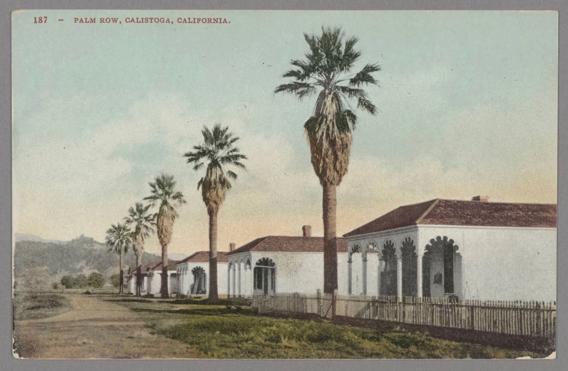 Historic white building with red roof and tall palm trees along a quiet road