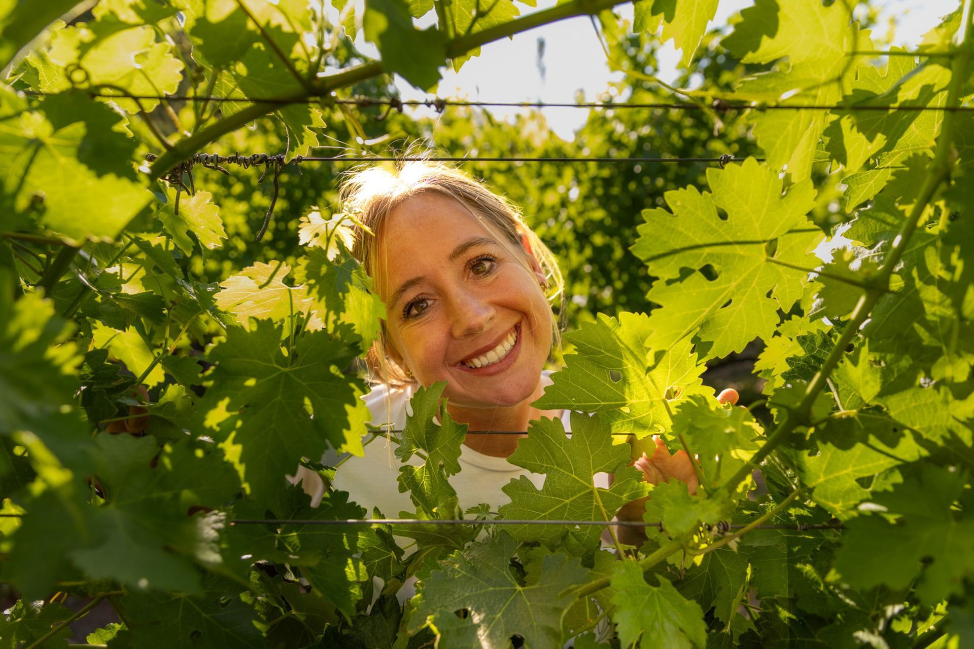 Smiling person peeks through sunlit green grapevines in a vineyard