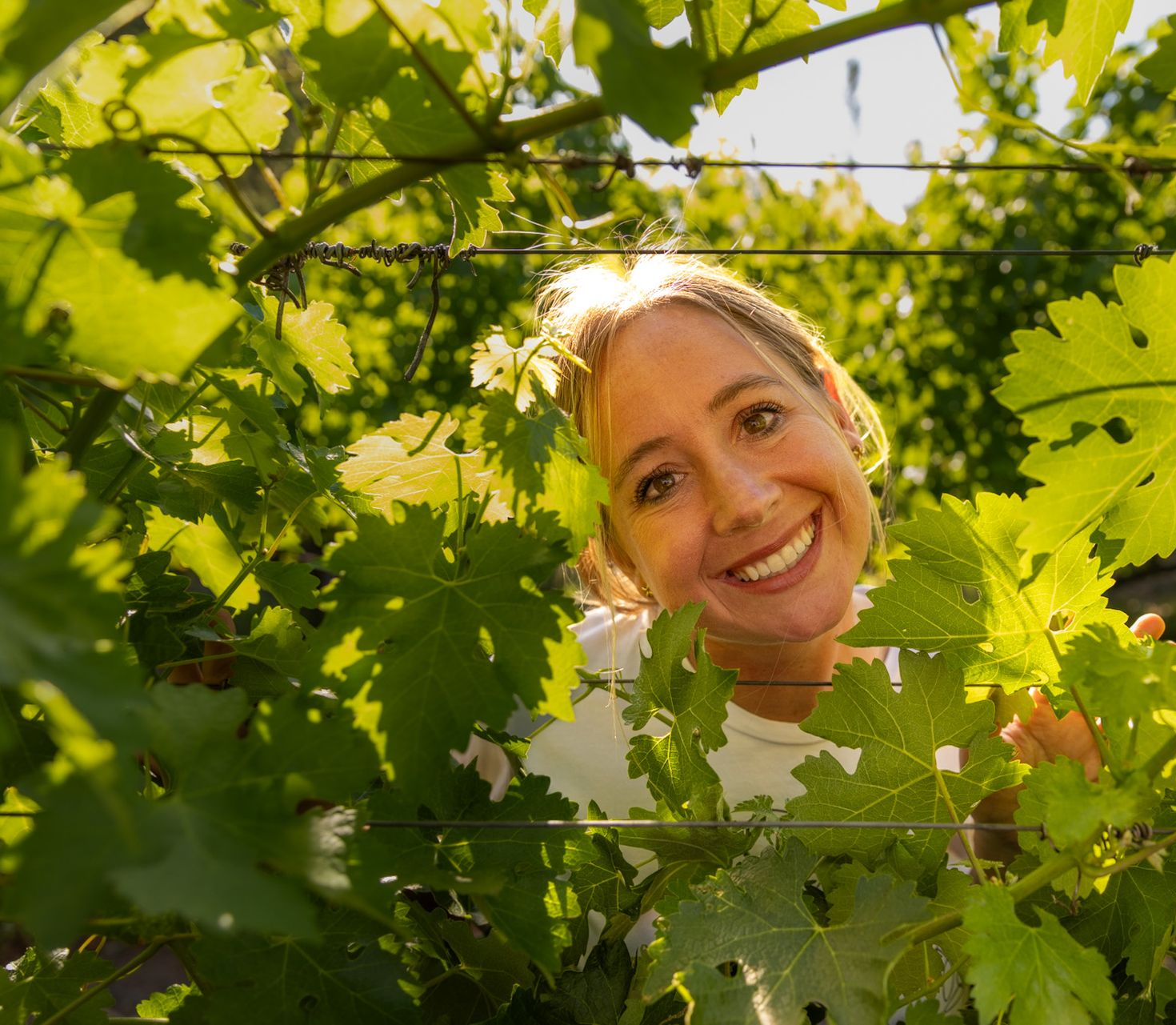 Smiling woman peeks through bright green grapevine leaves in a sunny vineyard