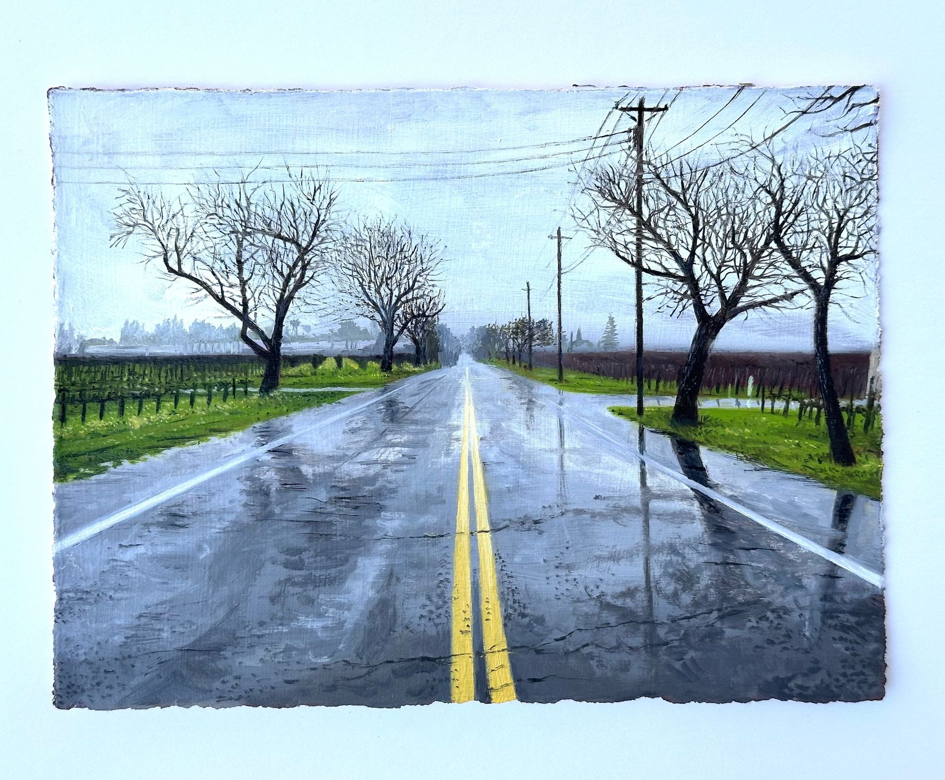 Rainy rural road stretching ahead with double yellow lines, bare trees, and green fields under a gray sky