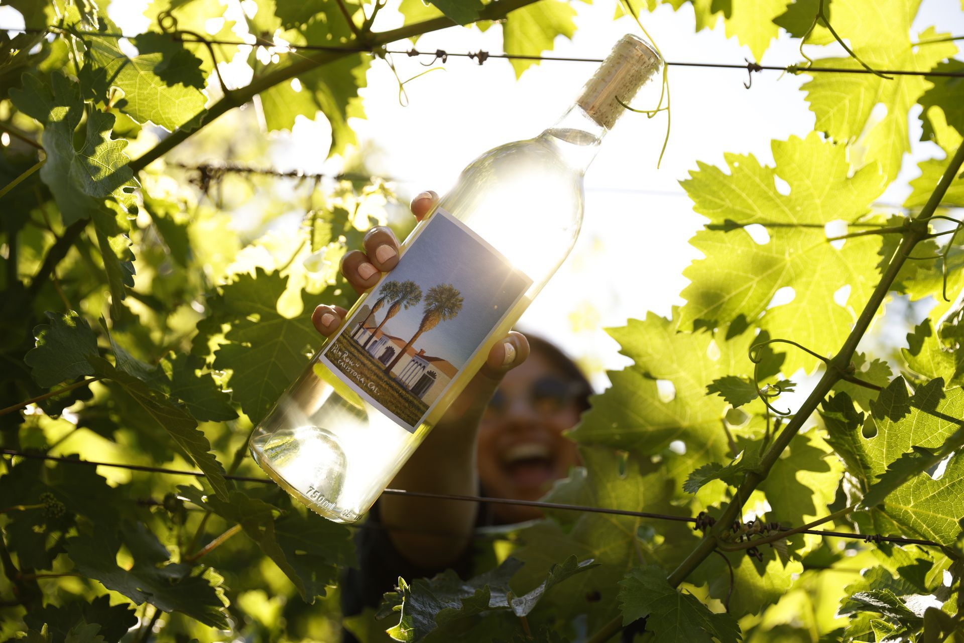 Person holding a wine bottle among sunlit grapevines in a vineyard