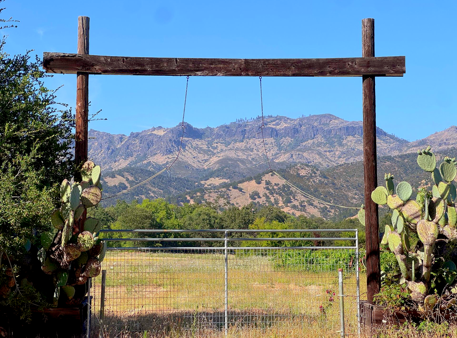 Rustic wooden gate framing a cactus-lined path with mountains in the background