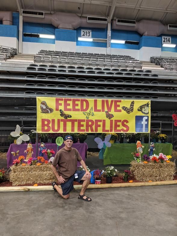 Man posing in front of a “FEED LIVE BUTTERFLIES” sign at an indoor butterfly exhibit, with flowers and bleachers behind.