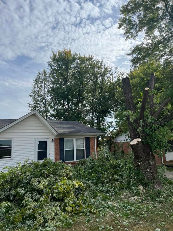 a house with a tree in front of it that has been cut down .
