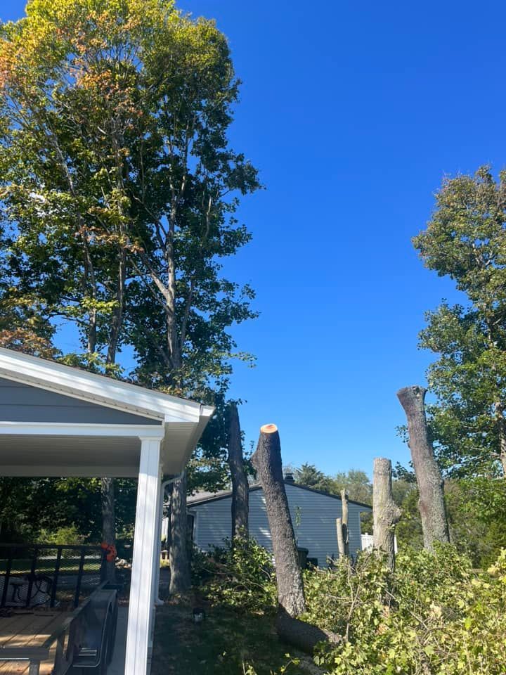 a house with a porch and trees in front of it .