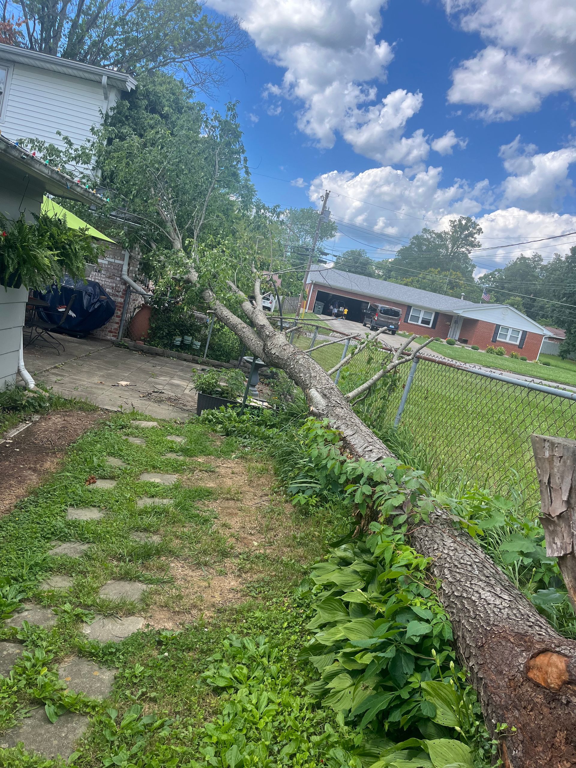 a man in a bucket is cutting a tree in front of a house .