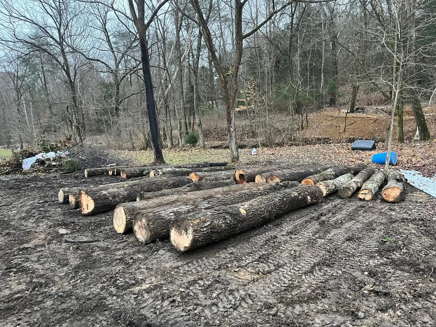 a large log of wood is sitting on top of a lush green field .