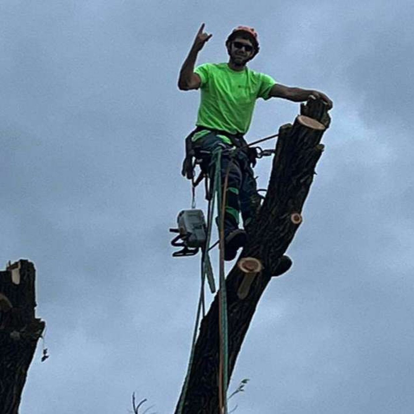 Homestead Tree Service Gallery | Homestead Tree Service