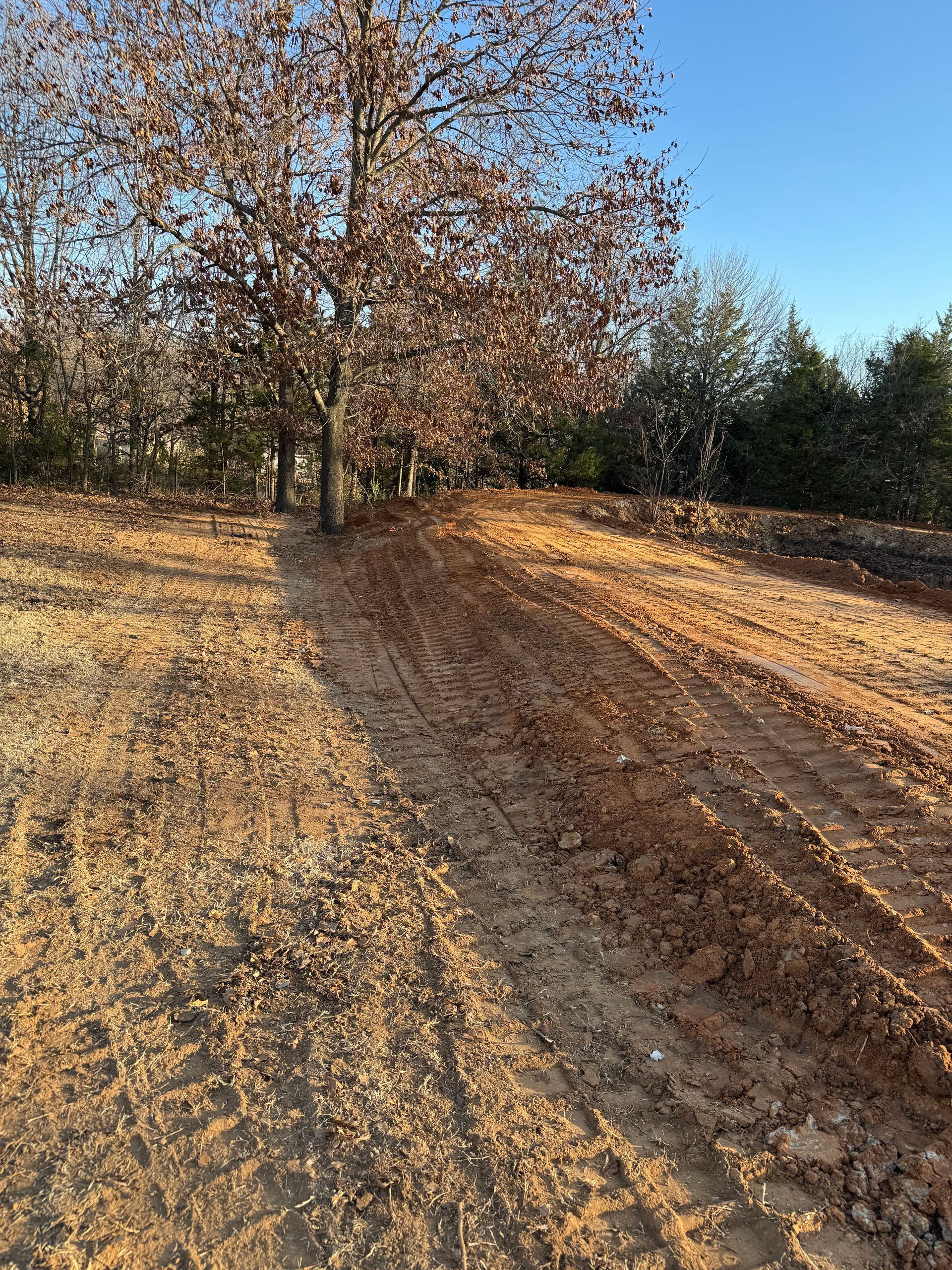 Dirt path with tire tracks, trees with brown leaves, and a clear blue sky.