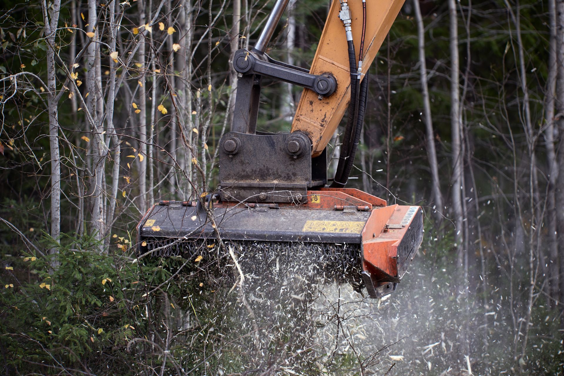 A forest mulcher grinds shrubs into wood chips. Orange and black machine in a forest setting.