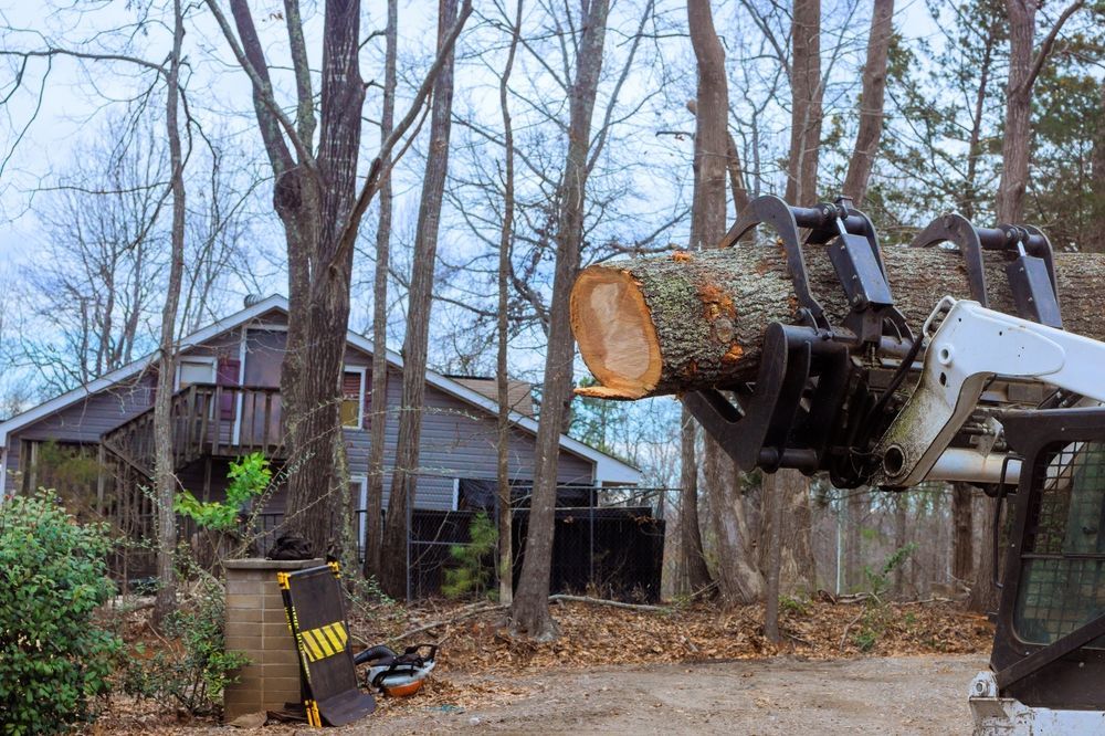 Skid steer with grapple arm lifting a tree trunk near a house with a wooden deck and bare trees.
