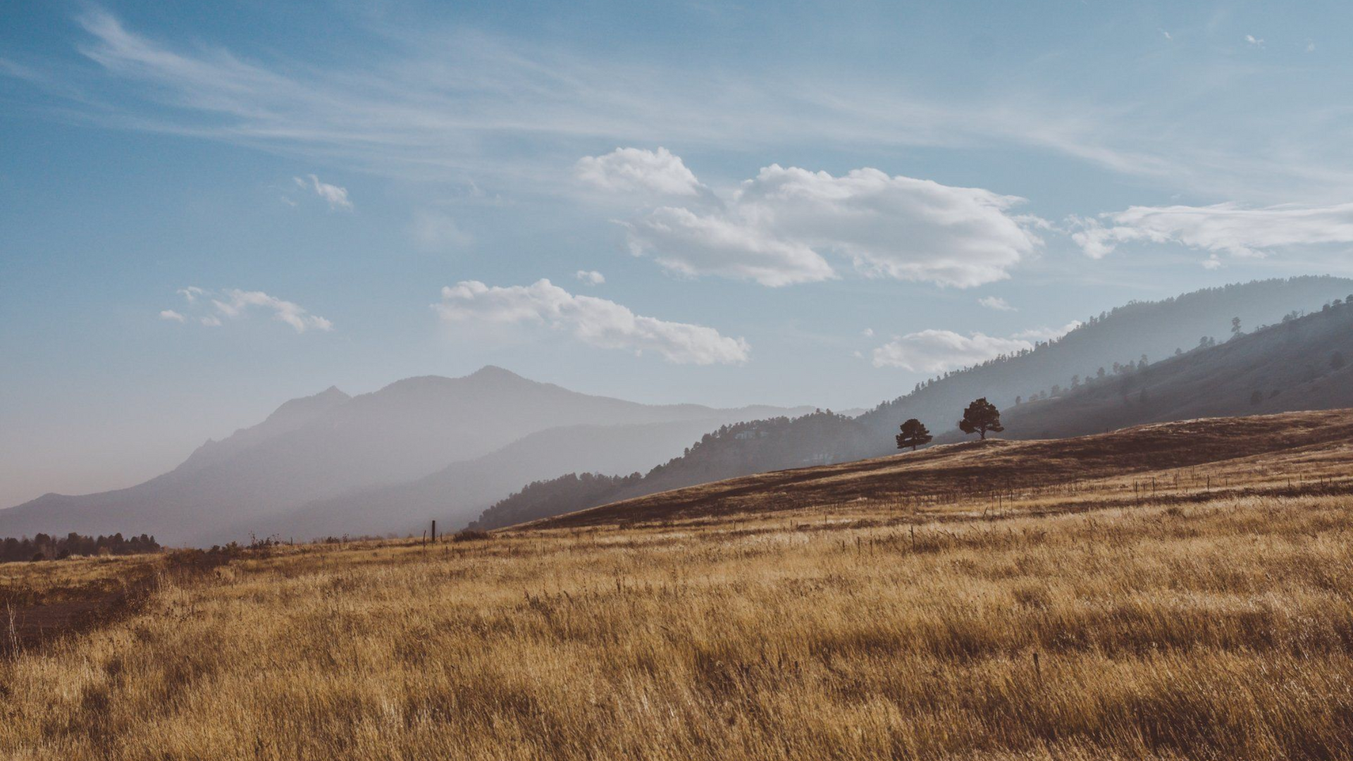 Golden grassland with rolling hills, hazy mountains, and a blue sky with scattered clouds